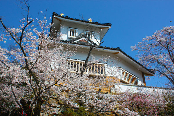 美濃市観光情報 小倉公園